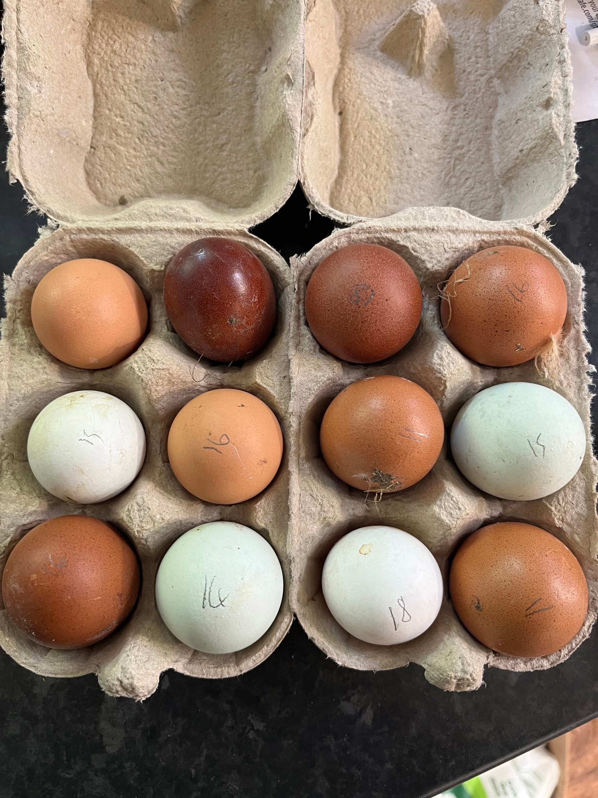 Chicken Eggs Dozen